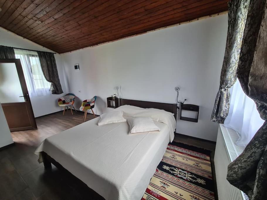 Cabana Bujor De Munte Rîşnov المظهر الخارجي الصورة