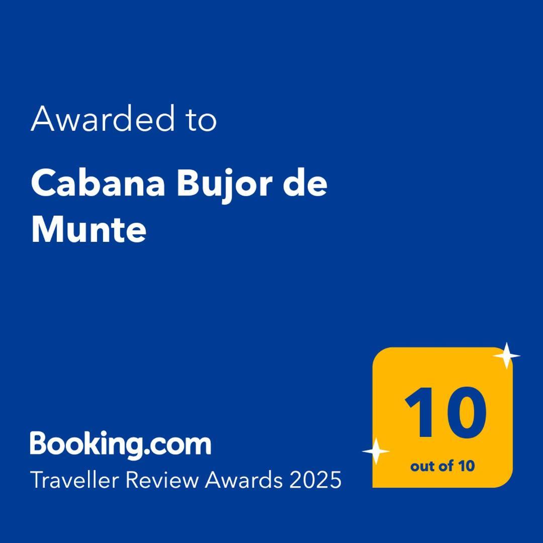 Cabana Bujor De Munte Rîşnov المظهر الخارجي الصورة